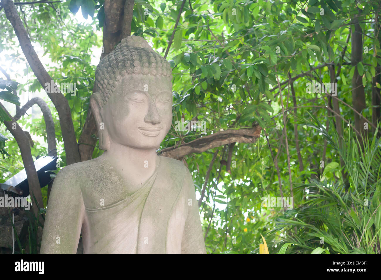 Meditative Ancient Buddha Statue Portrait close up in Cambodian Temple Green Plants with big leaves Stock Photo