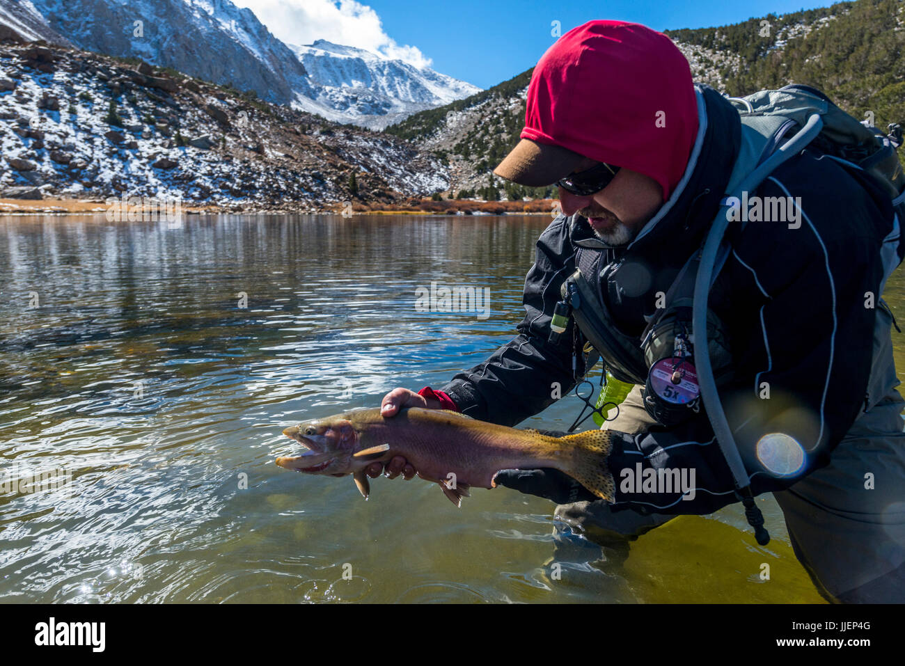 Greg showing off anice Lahontan Cutthroat trout at a secret eastern sierra lake Stock Photo