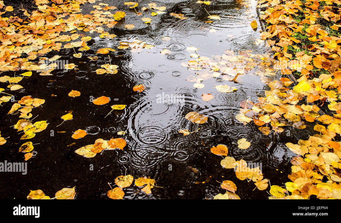 Autumn Rain, Leeds Stock Photo