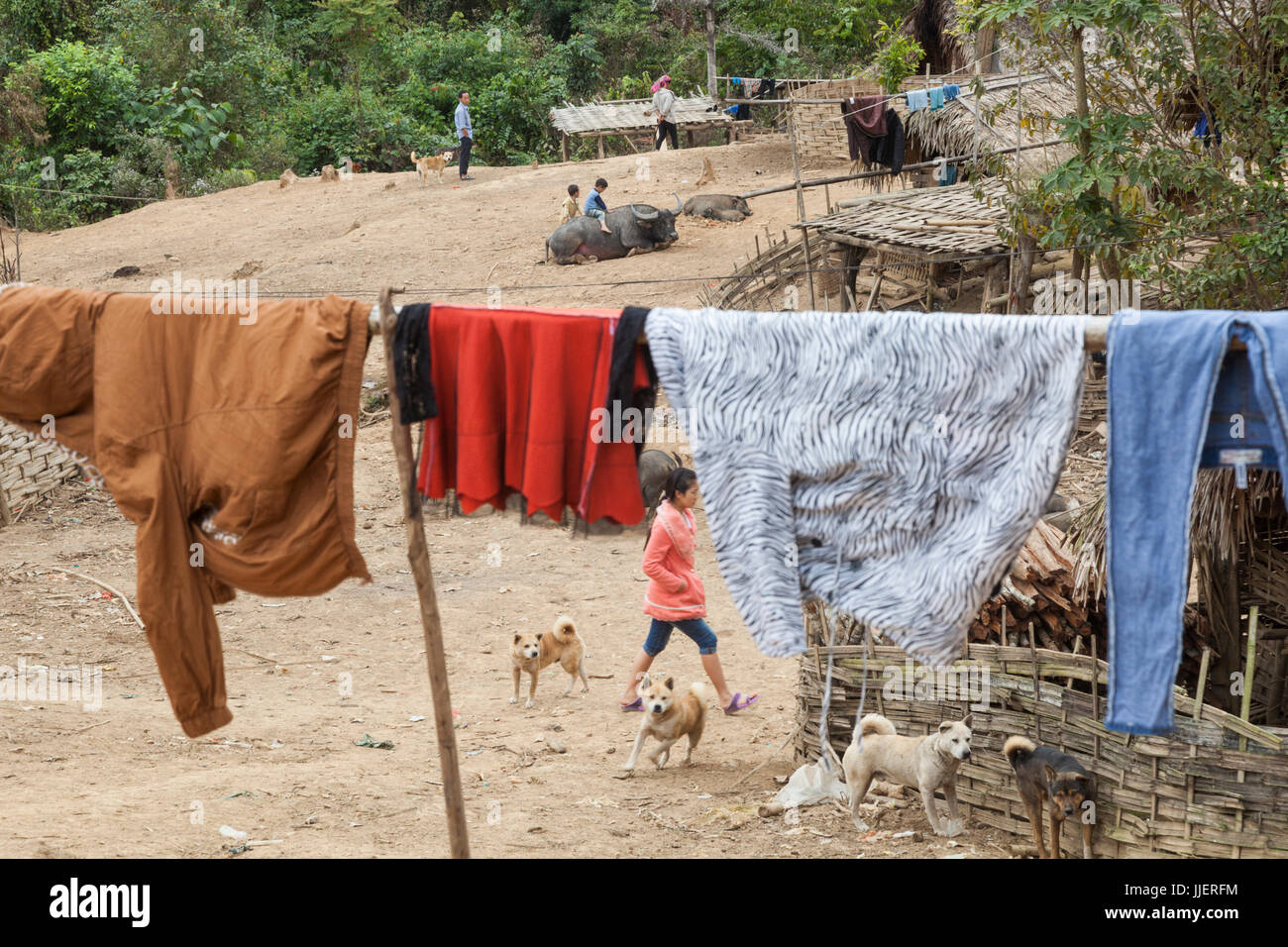 Boys ride a water buffalo among dogs, pigs, and drying clothes in Ban Sop Kha, Laos. Stock Photo