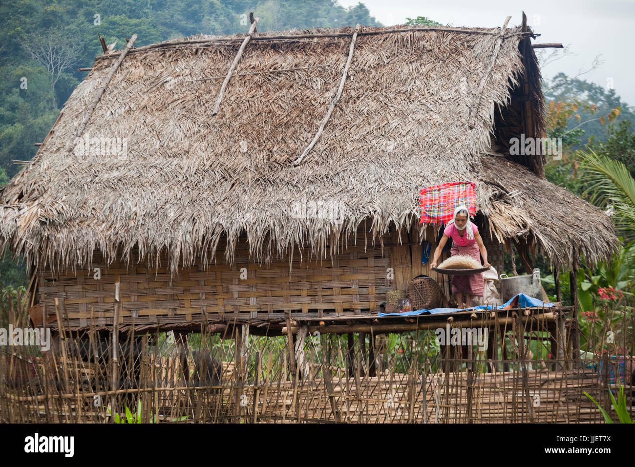 A woman separates rice from the hulls (husks) by shaking them in a flat basket on her front porch in Muang Hat Hin, Laos. Stock Photo