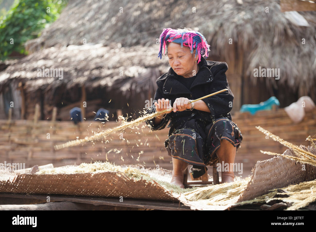 A woman shakes the seed husks off dried grass stalks for use as a stuffing for mattresses in Muang Hat Hin, Laos. Stock Photo