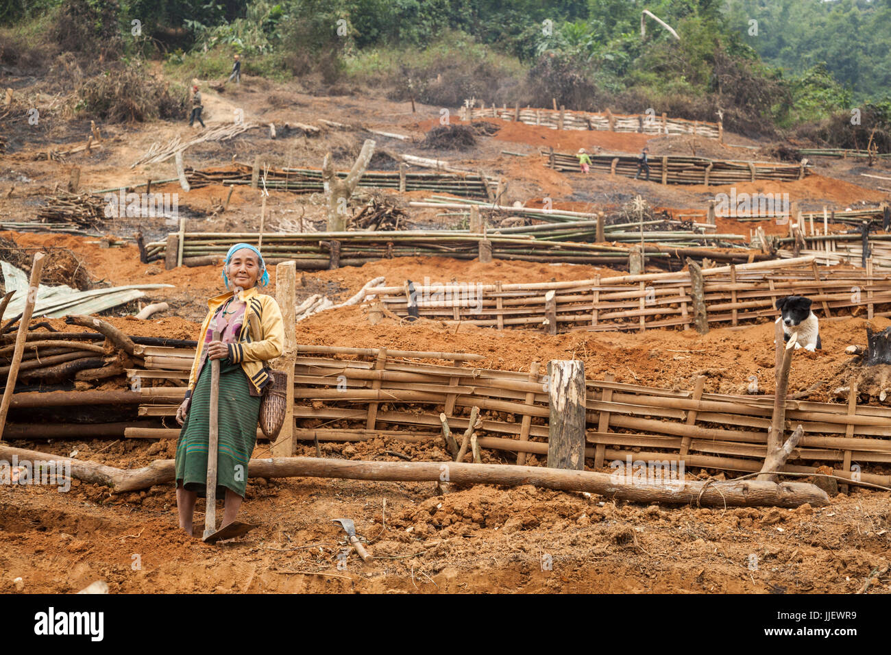 An elderly woman stands at the base of a series of building platforms, held by bamboo scaffolding, at the temporary relocation site above Muang Va, Laos. The village will be completely inundated by Nam Ou River Dam #6 and the government provided resettlement near Hat Sa will not be completed in time. Stock Photo