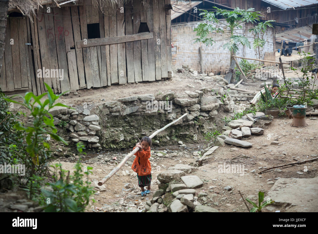 A young girl carries a bamboo pole up trail to the temporary relocation site being built by the villagers above Ban Kor Man Mai, Laos. The village will be inundated by Nam Ou River Dam #6 and the government provided resettlement near Hat Sa will not be completed in time. Stock Photo