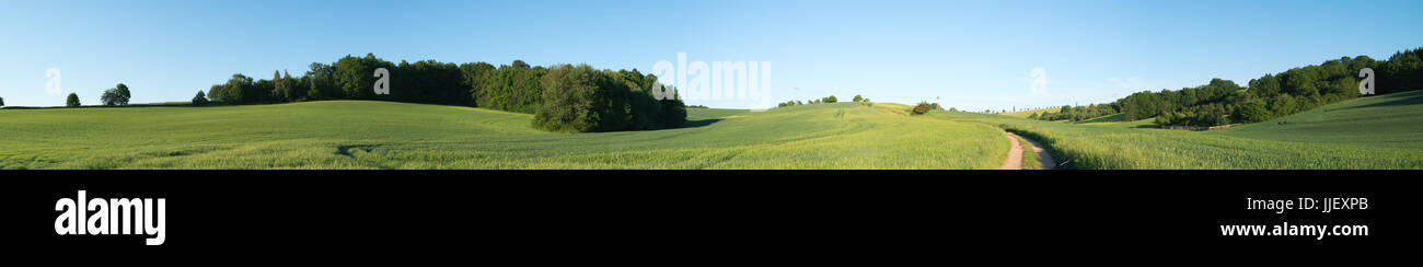 Summer landscape field blue hi-res stock photography and images - Alamy