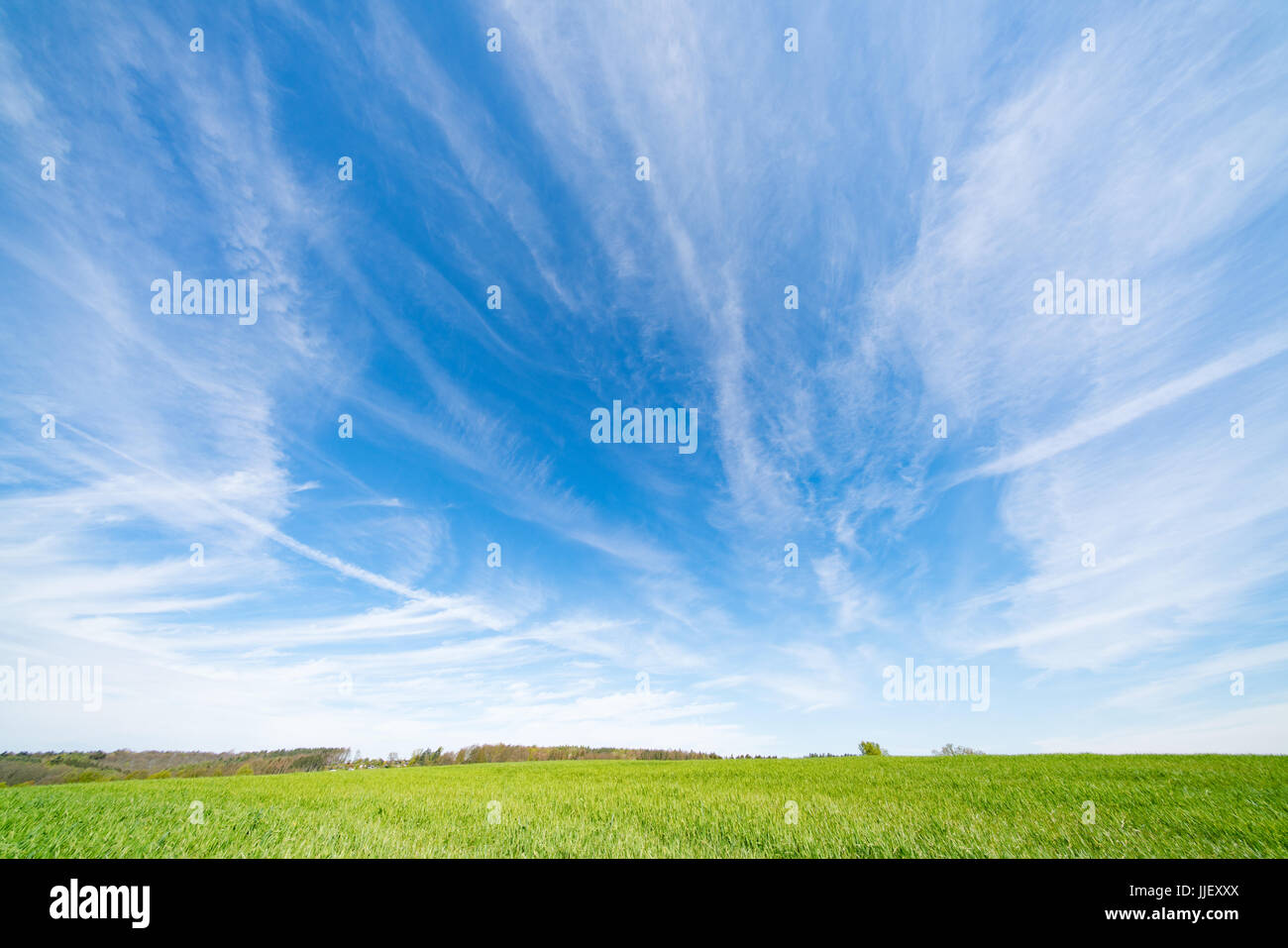 Sky background and green land hi-res stock photography and images - Alamy