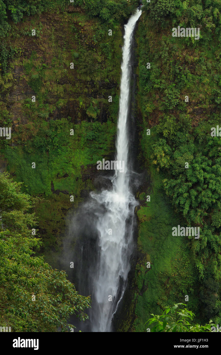 Landscape of Tad Fan waterfall Stock Photo