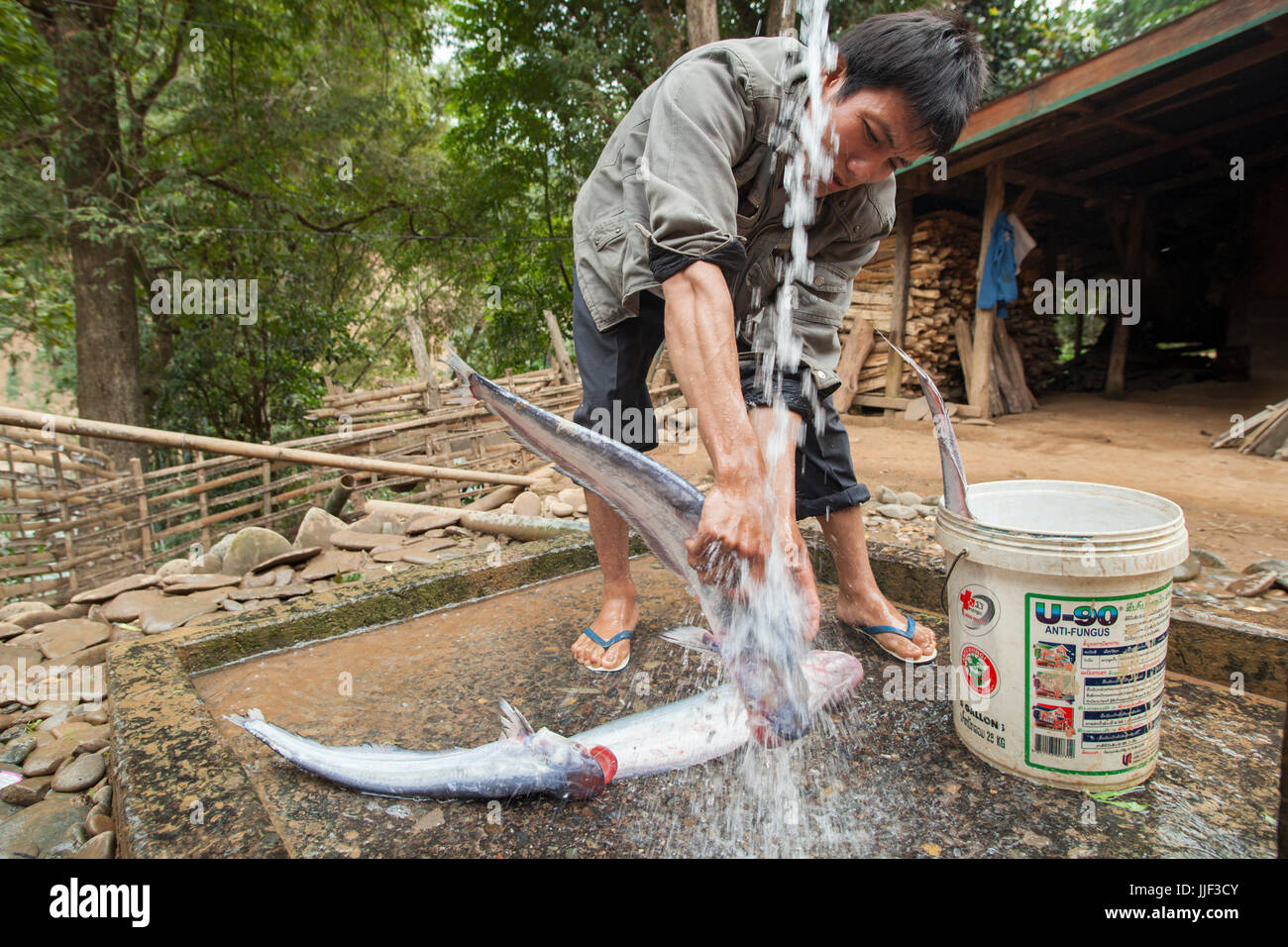 A young man rinses off fish he caught in the Nam Ou River in a public water fountain in Ban Hat Lan, Laos. Stock Photo