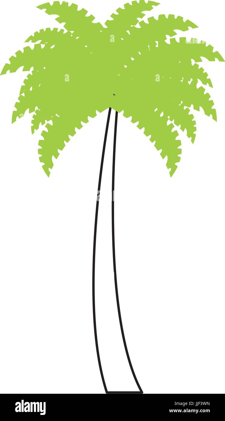 tree palms isolated icon vector illustration design Stock Vector Image ...
