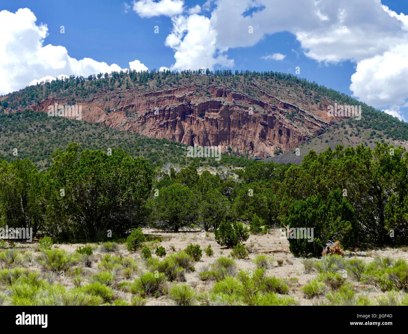 Red Mountain Geological area, a volcanic cinder cone, Coconino National