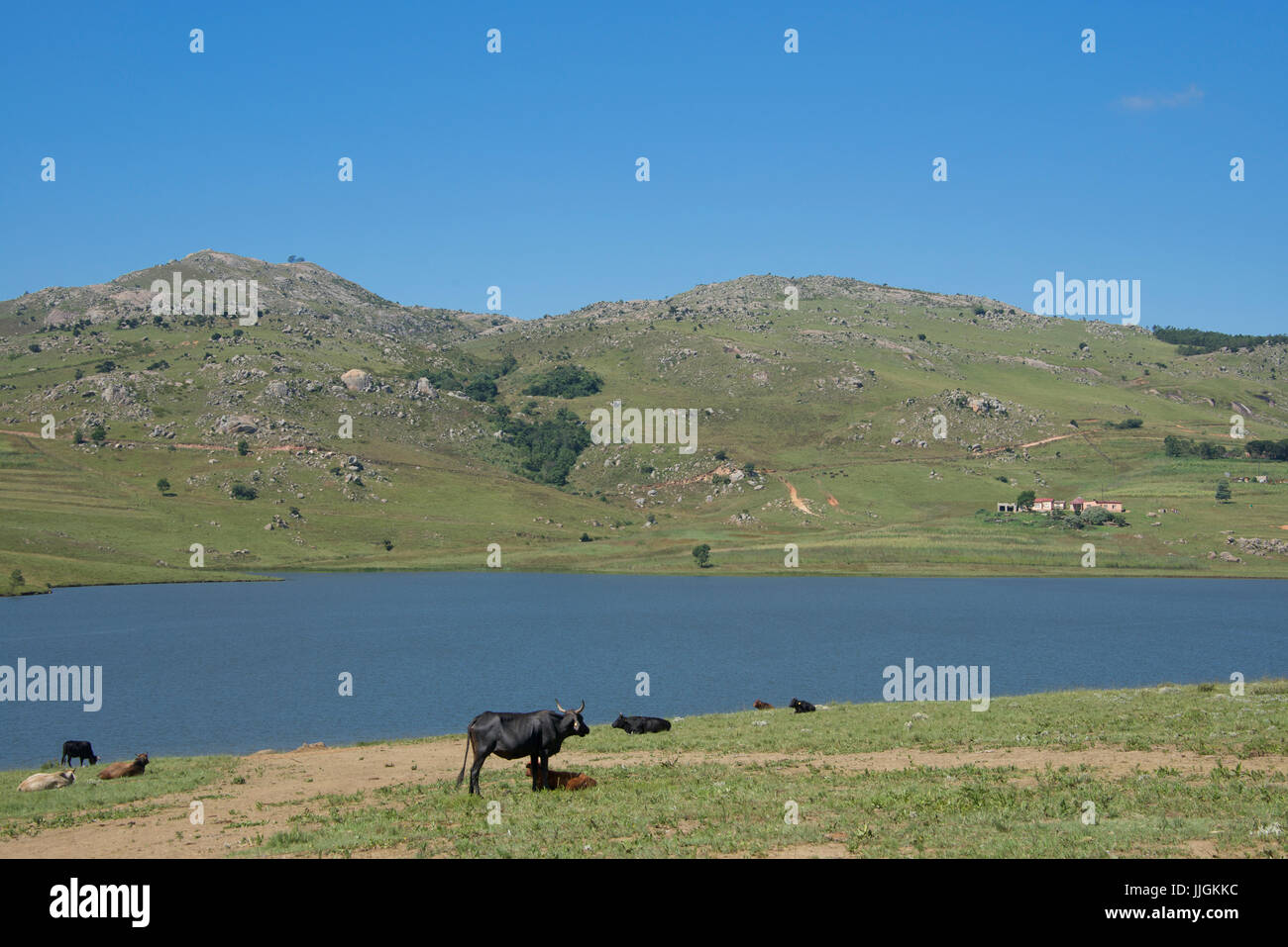 Rural agricultural landscape Hawani Reservoir northern Swaziland Southern Africa Stock Photo