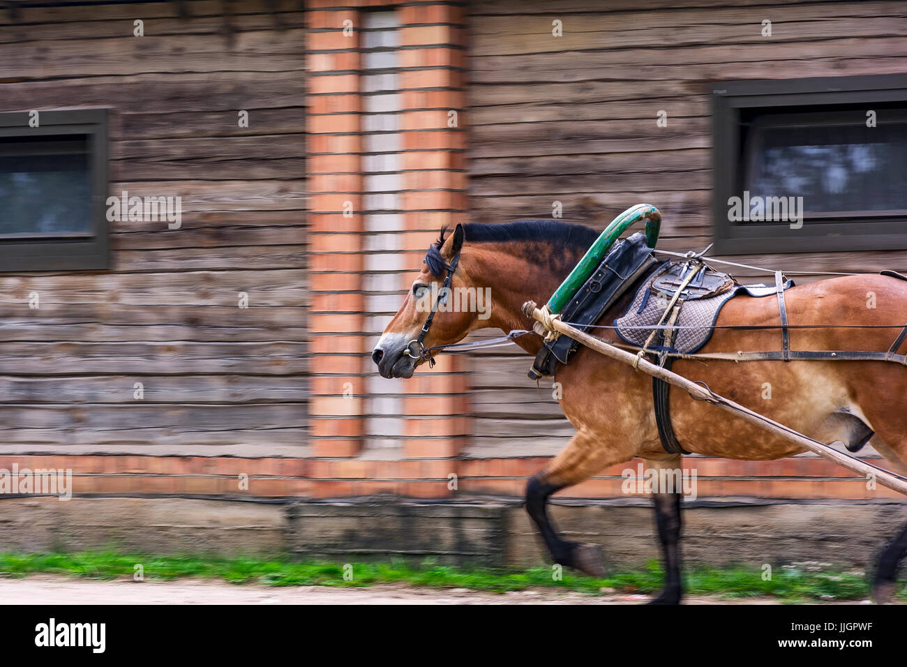 Horse Yoke High Resolution Stock Photography and Images Alamy