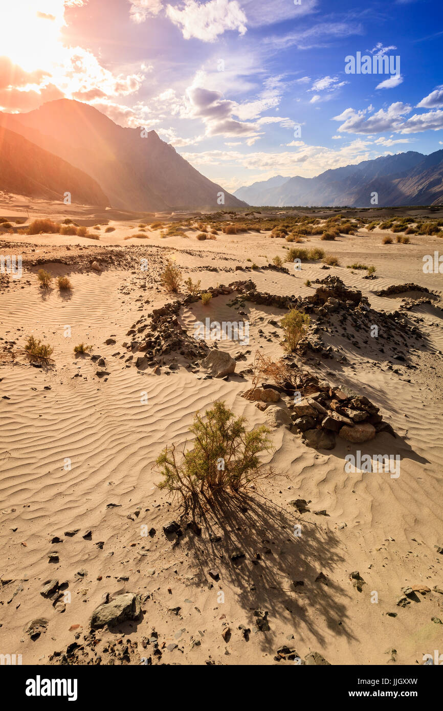 Sand dunes in Nubra Valley in Ladakh, Kashmir, India Stock Photo