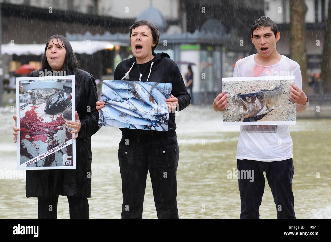 L269 animals rights defenders protest fishing and fish consummation ...