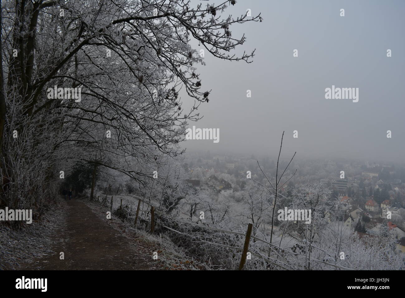 Frozen path- Freiburg/Germany Stock Photo