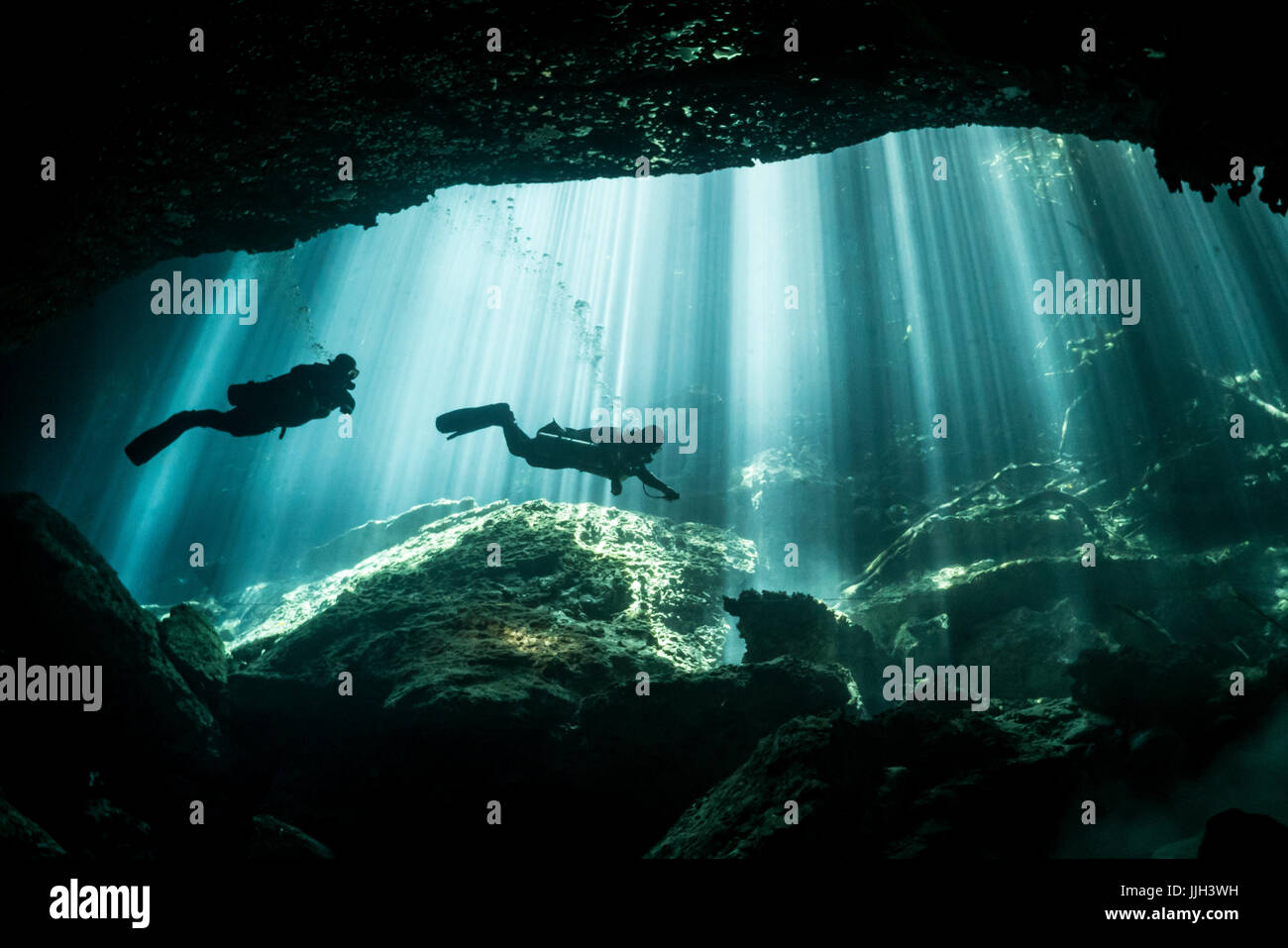 Scuba divers swim in front of crisp light rays  shining through the trees down into Mexico's Yucatan cenote and cave system. Stock Photo