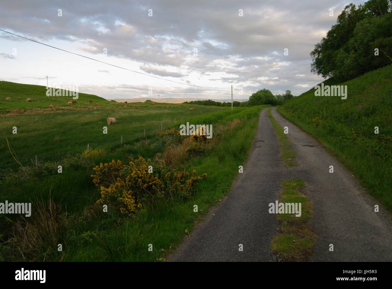Road to Grass Point, Isle of Mull, Scotland Stock Photo Alamy