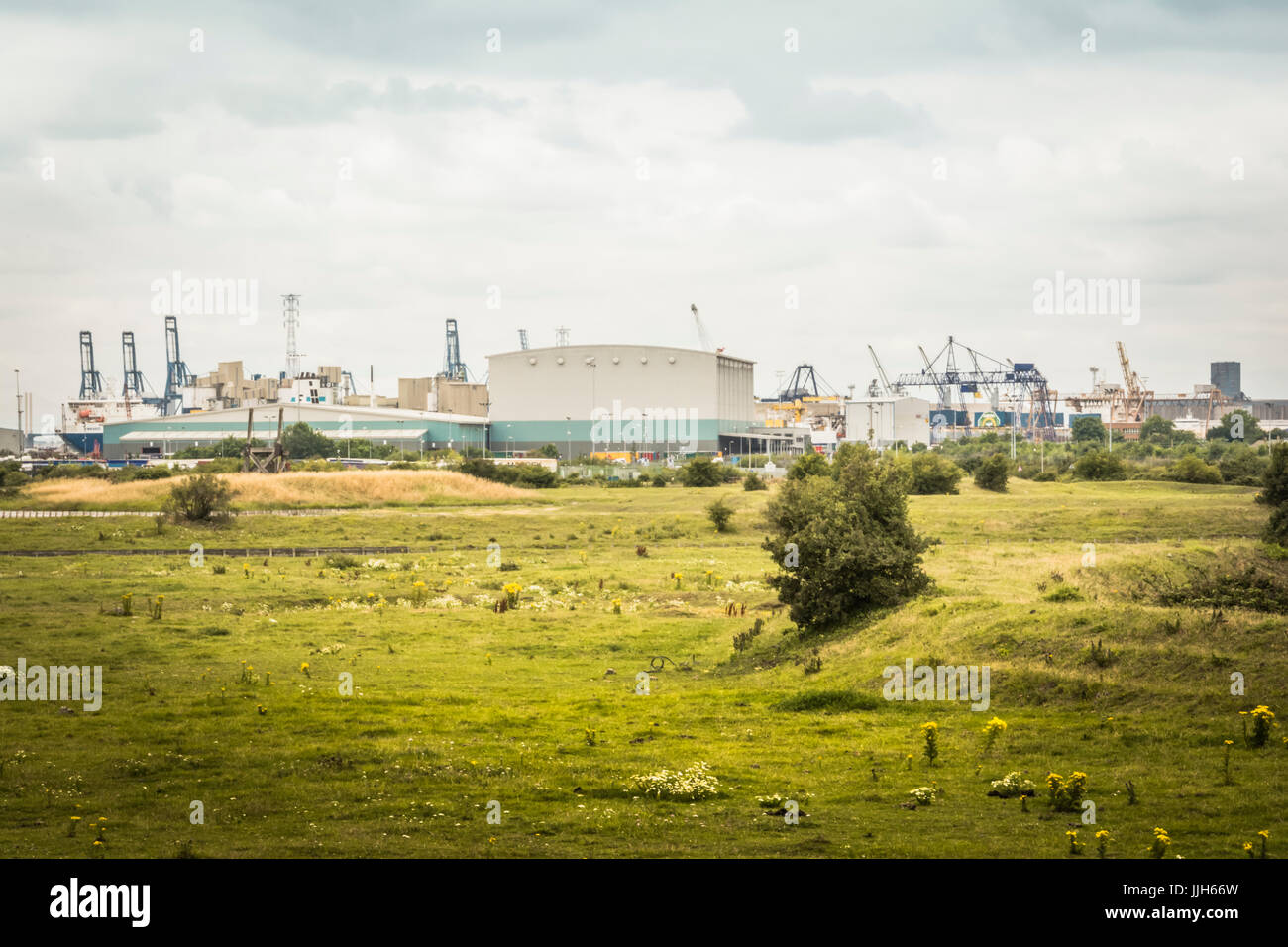 The Port of Tilbury is located on the River Thames at Tilbury in Essex