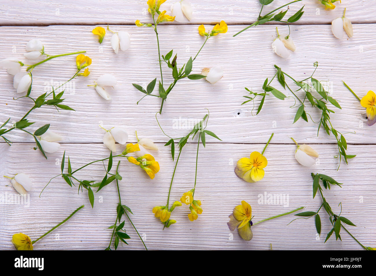 Yellow Wildflowers wooden background Stock Photo