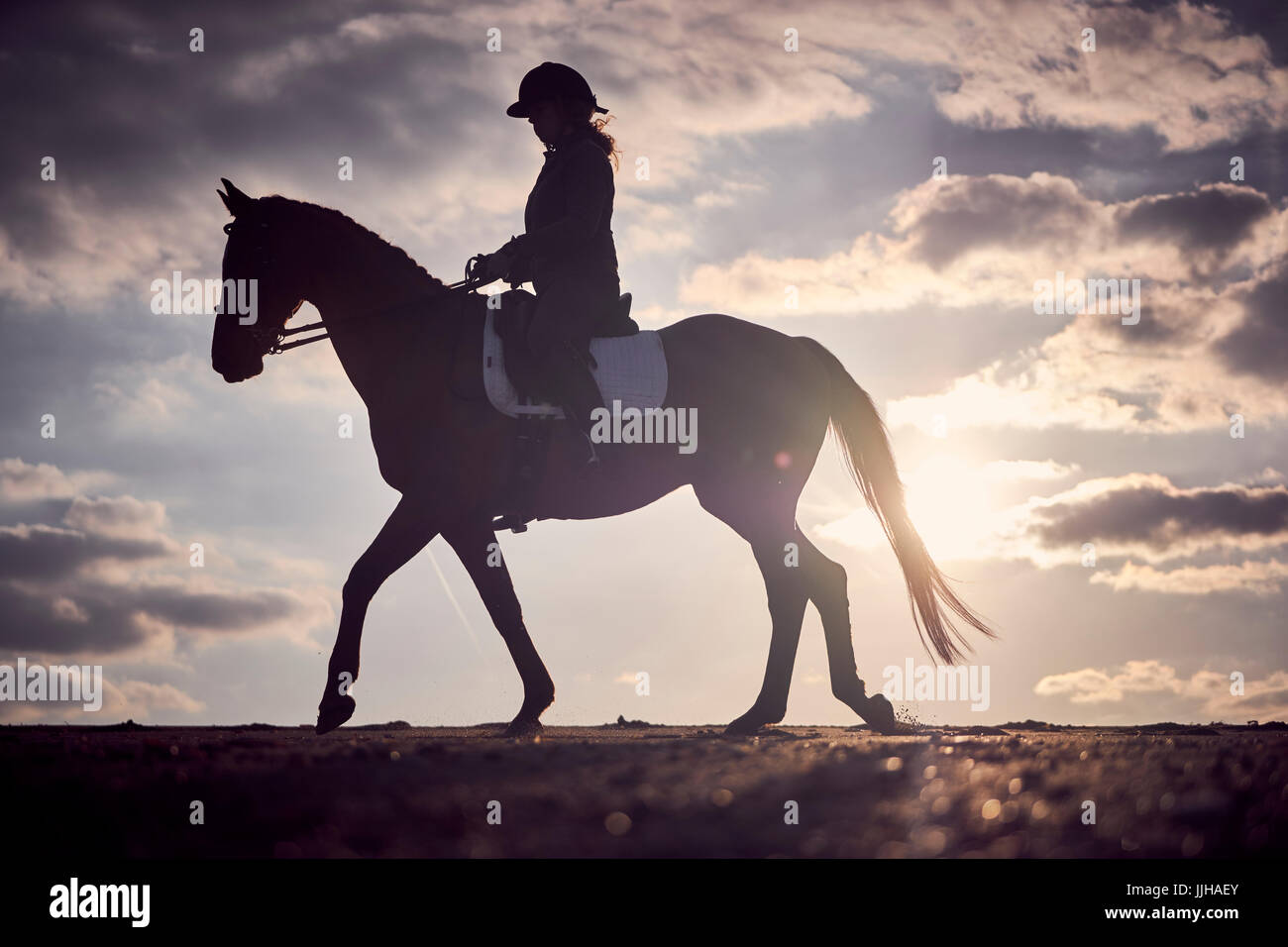 A young woman riding her horse on the beach at sunset Stock Photo - Alamy