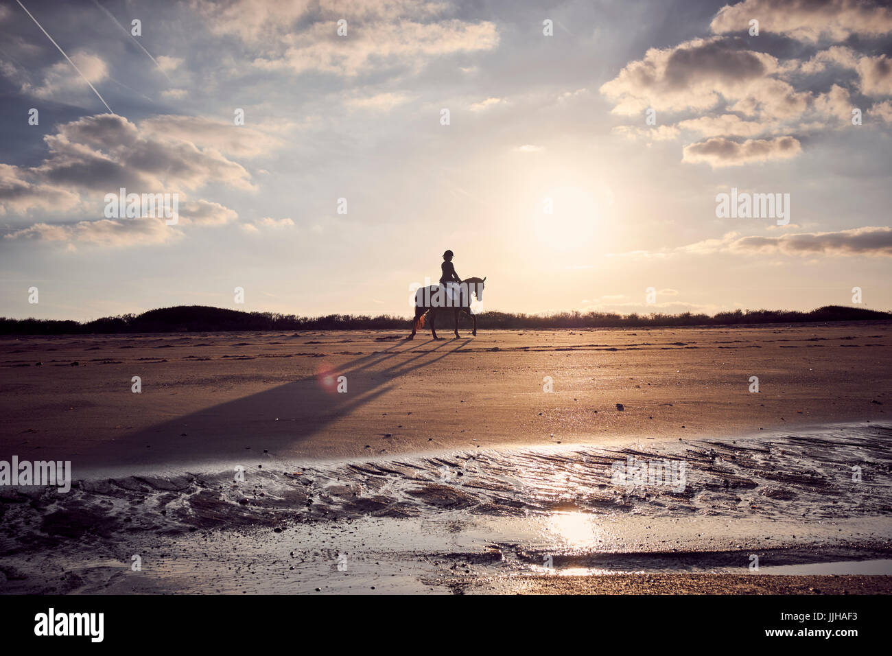 A young woman riding her horse on the beach at sunset Stock Photo - Alamy