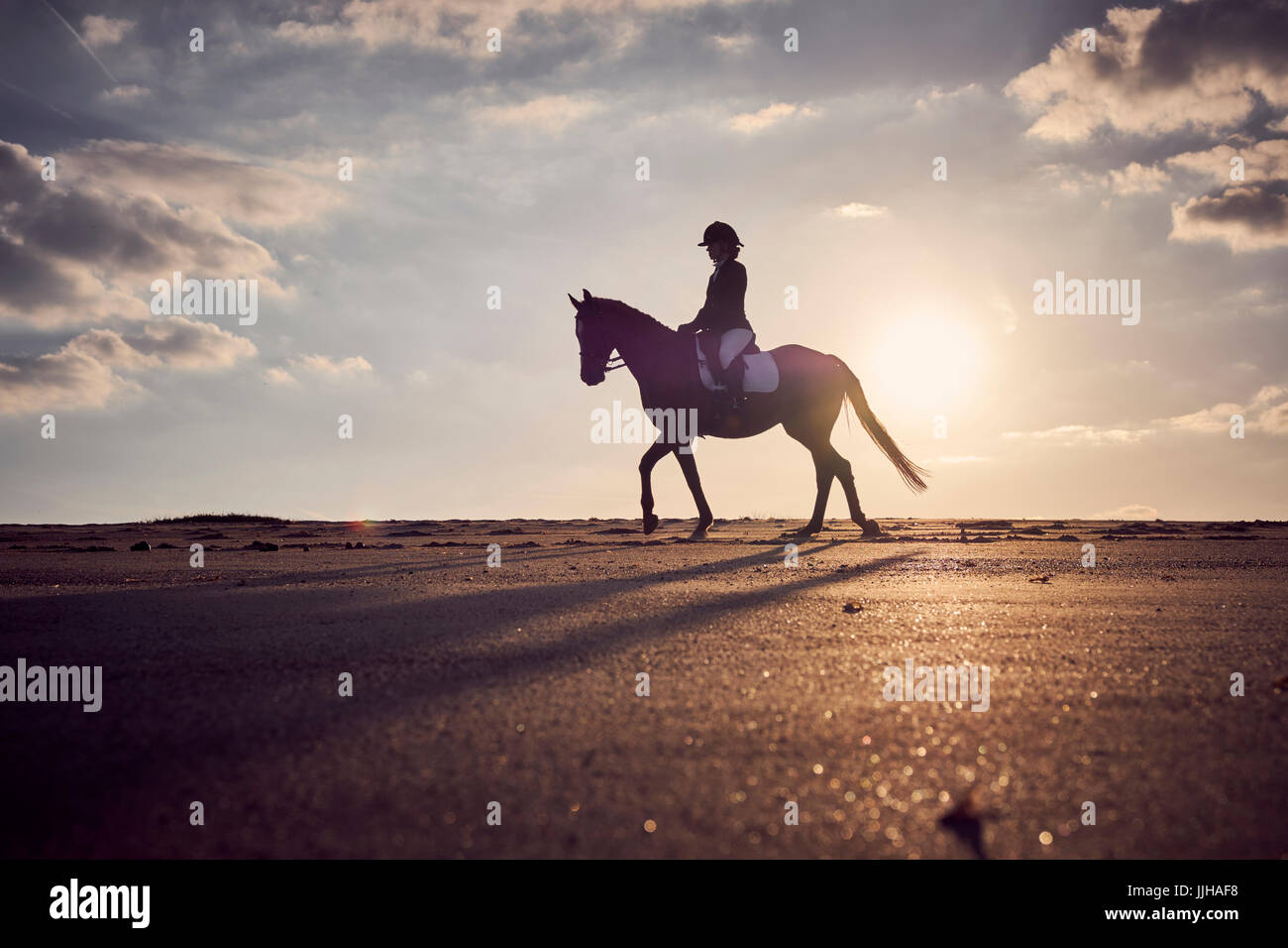 A young woman riding her horse on the beach at sunset. Stock Photo