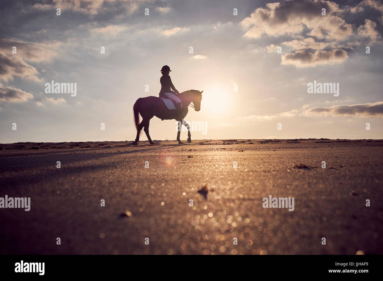 A young woman riding her horse on the beach at sunset Stock Photo - Alamy