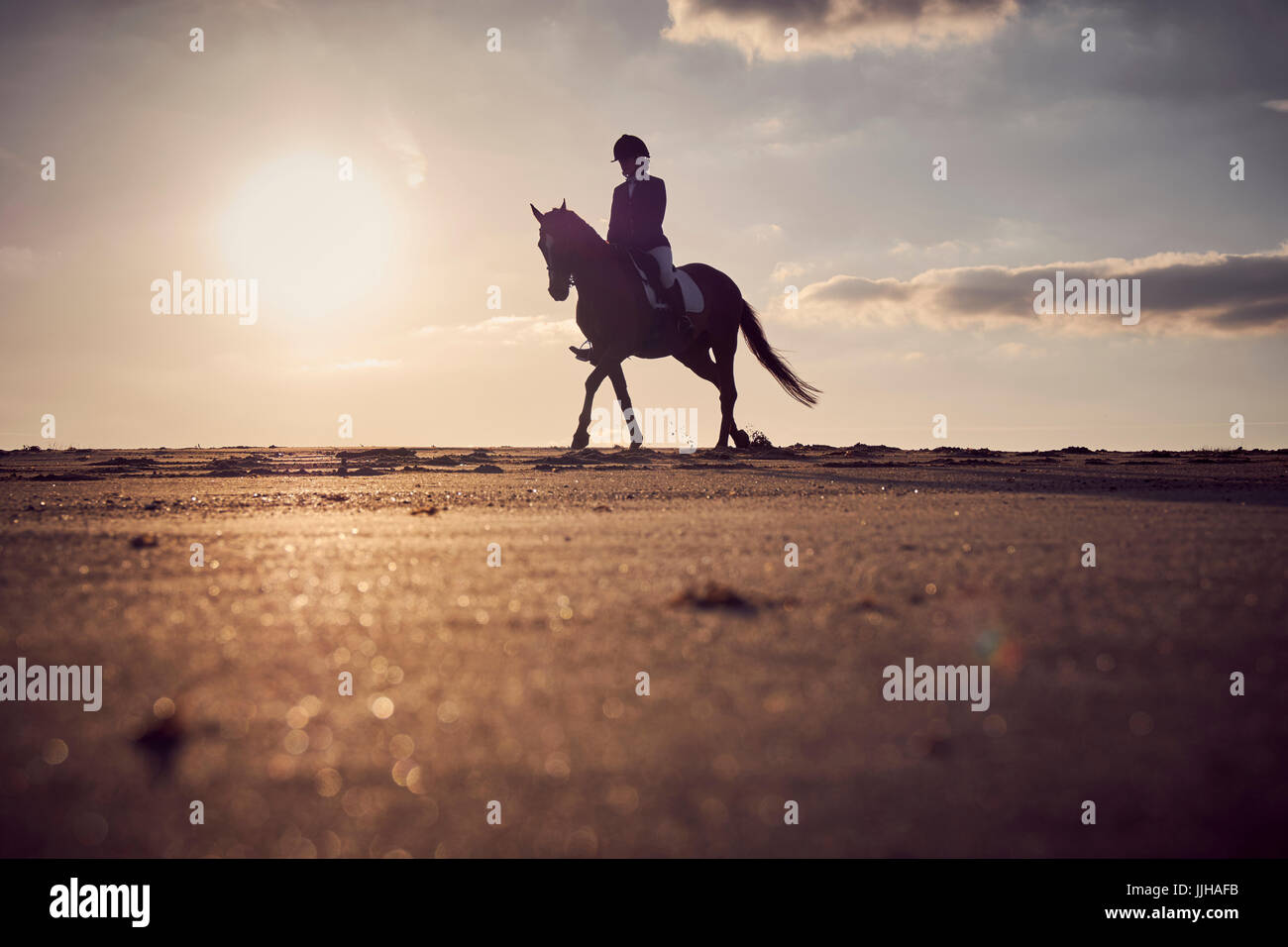 A young woman riding her horse on the beach at sunset Stock Photo - Alamy