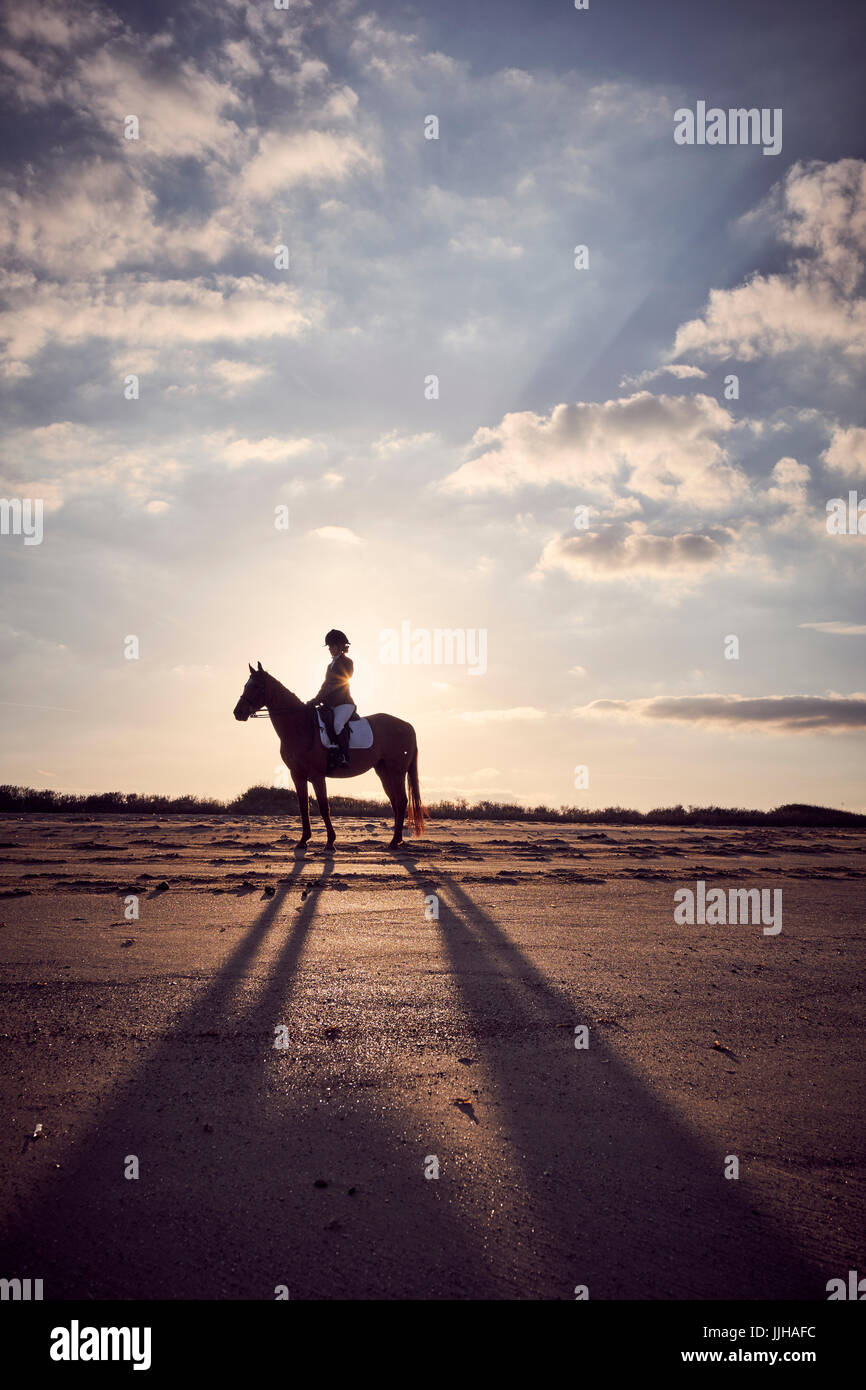 A young woman riding her horse on the beach at sunset Stock Photo - Alamy