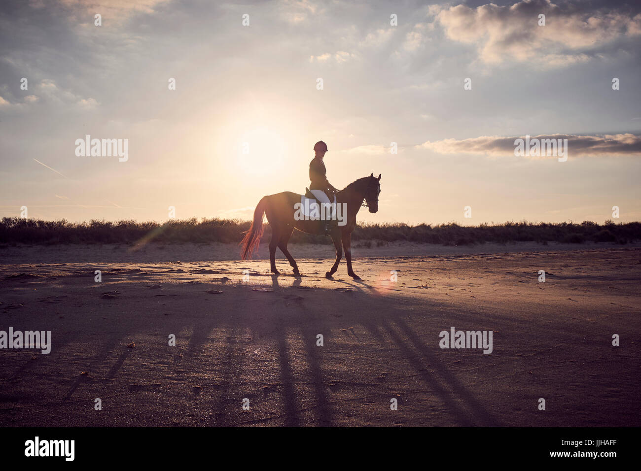 A young woman riding her horse on the beach at sunset Stock Photo - Alamy