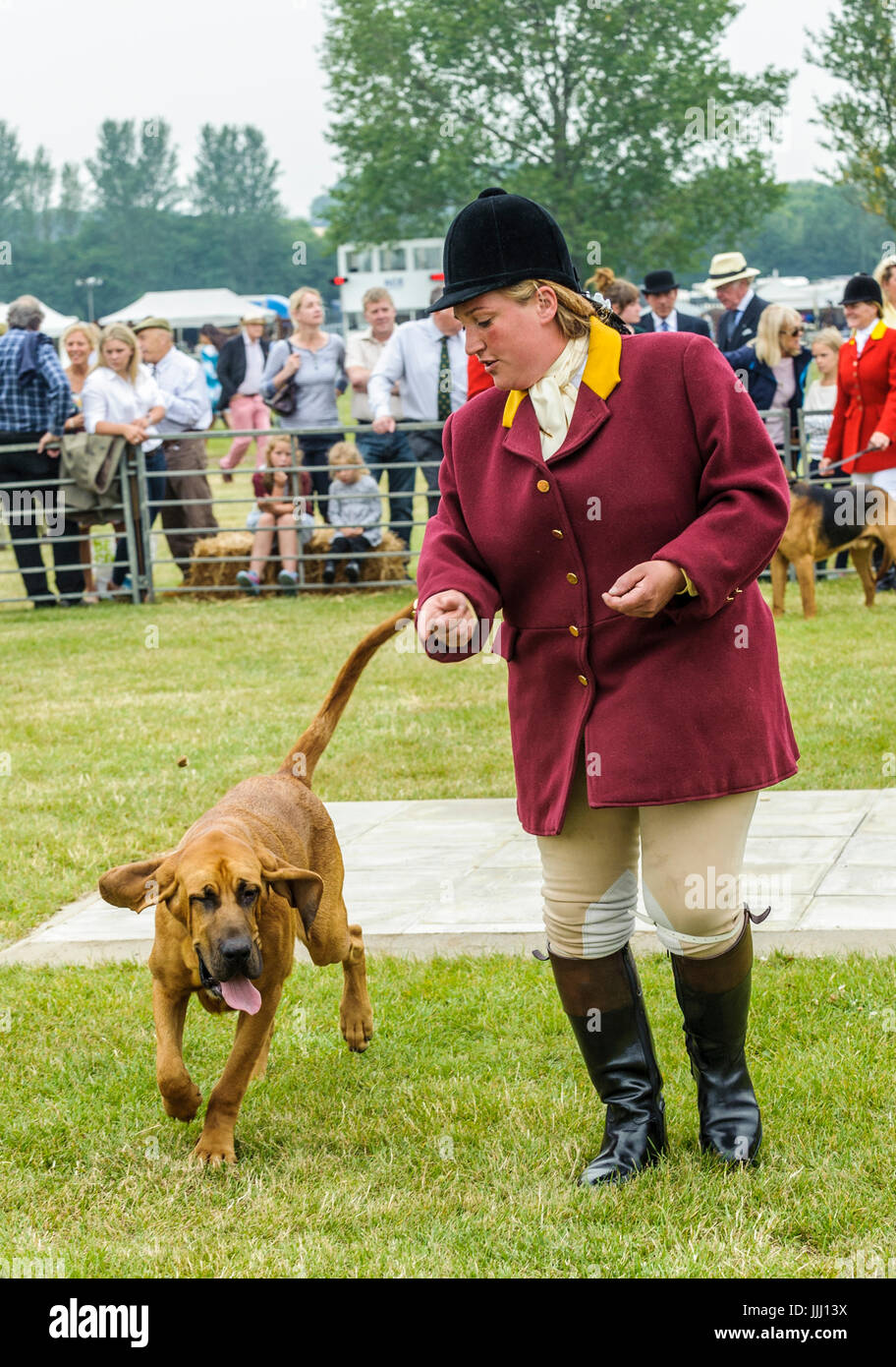 The Festival of Hunting, Peterborough, Cambridgeshire, UK. 19th July