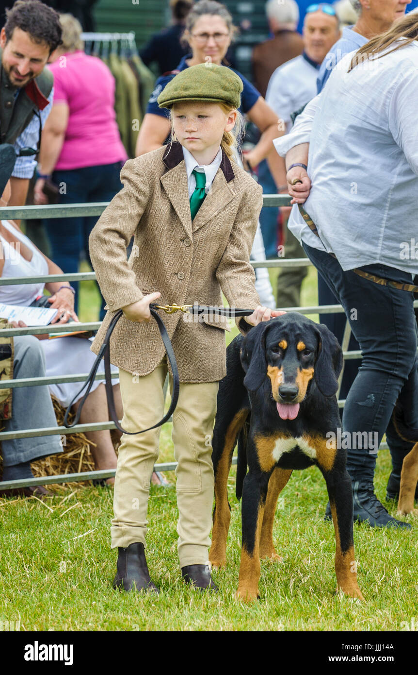 A young girl in tweeds with a bloodhound in the show ring at the Festival of Hunting Stock Photo