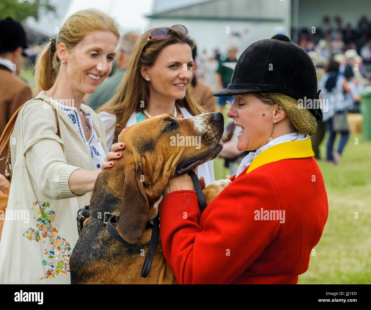 Blood hound sniff hi-res stock photography and images - Alamy