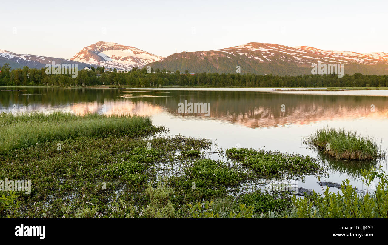 Tromso, Norway. 17th June, 2023. Midnight Sun Marathon in Tromso, Norway.  Credit: Vit Javorik/Alamy Live News Stock Photo - Alamy