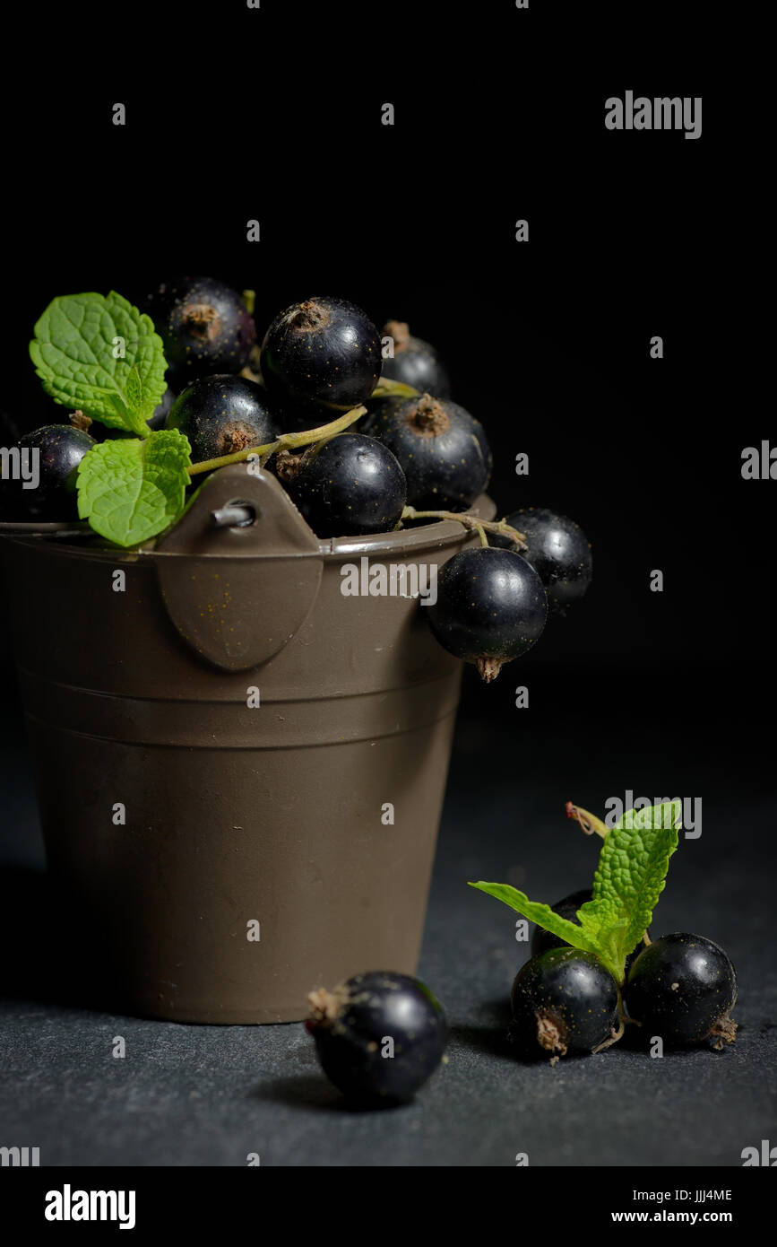 Black currant with mint leaf isolated Stock Photo - Alamy