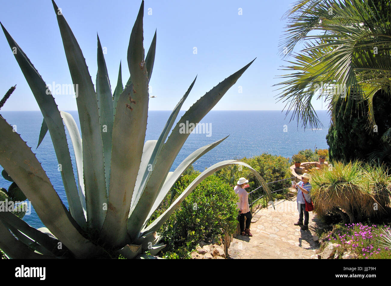 jard-n-bot-nico-marimurtra-stock-photo-alamy