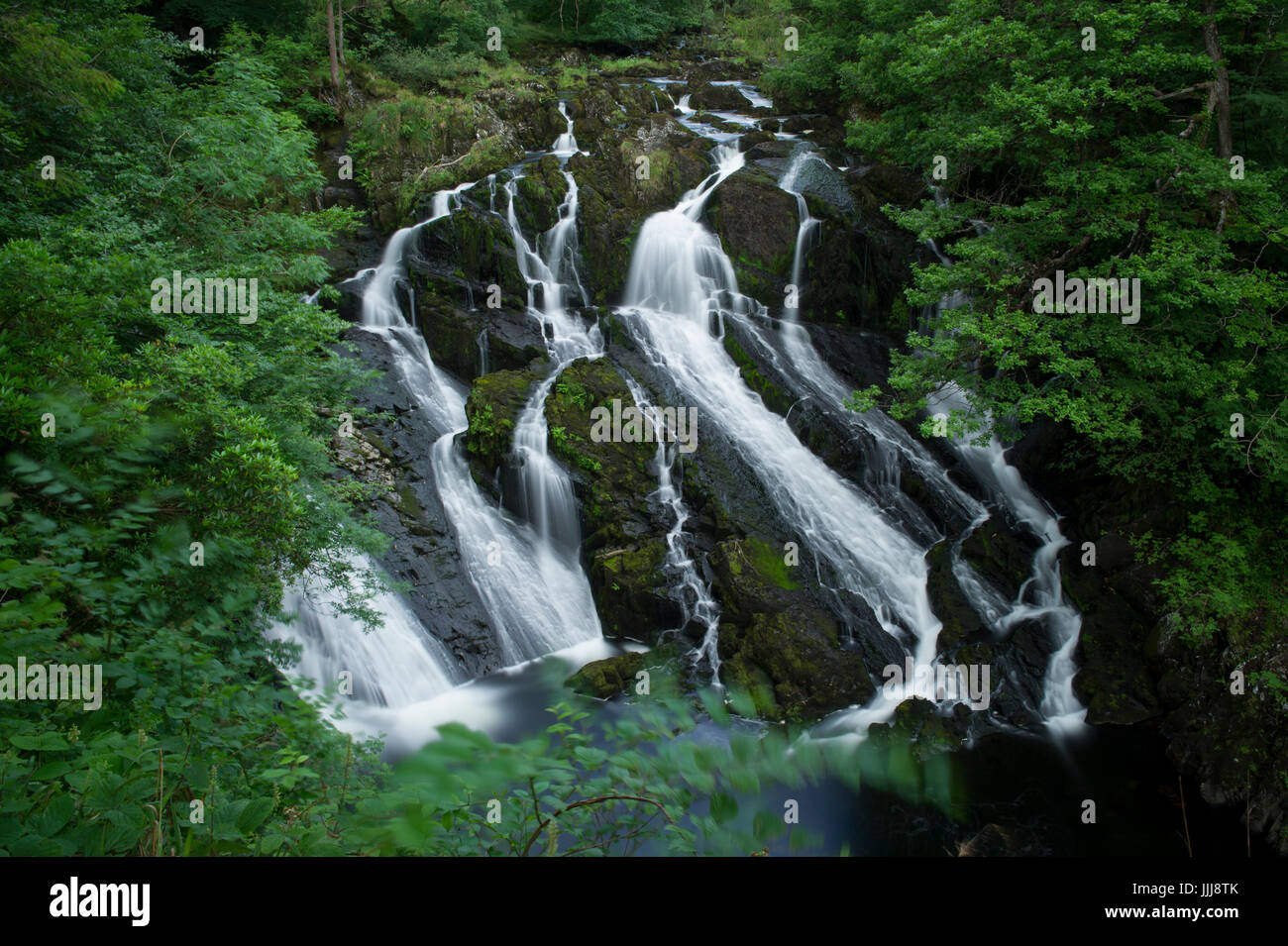 The famous Swallow Falls near Betws-y-Coed in Snowdonia National Park in Wales Stock Photo