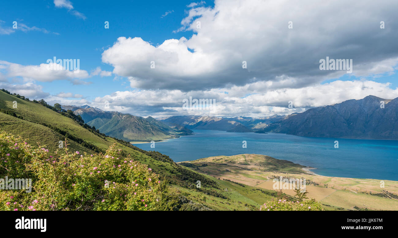 View of lake in mountain landscape, Lake Hawea, Otago, South Island, New Zealand Stock Photo