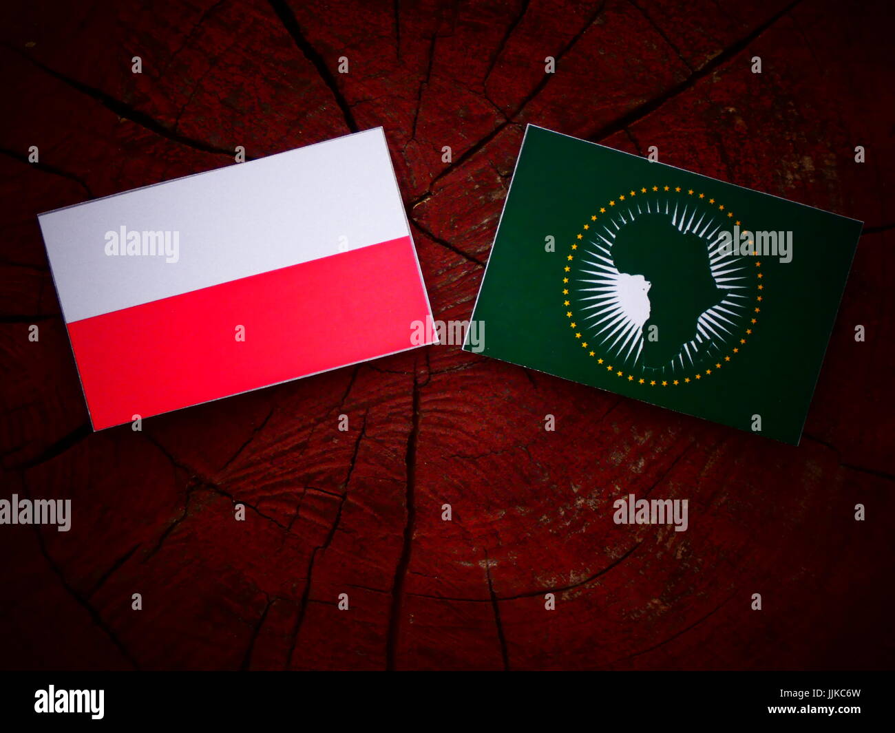 Polish flag with African Union flag on a tree stump isolated Stock ...
