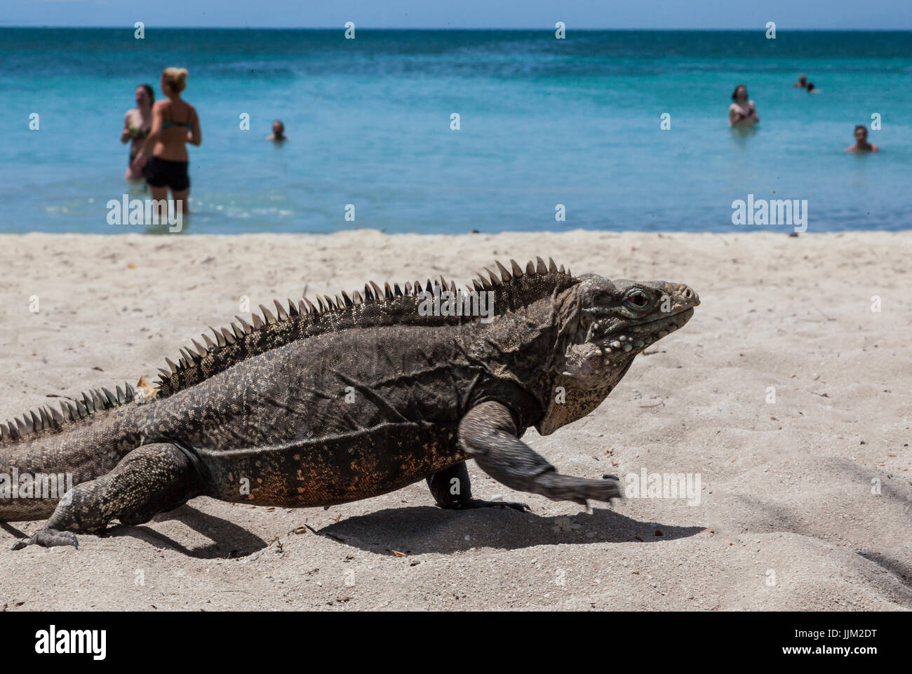 The tropical island of CAYO IGUANA reached by boat from PLAYA ANCON is a tourist destination - TRINIDAD, CUBA Stock Photo