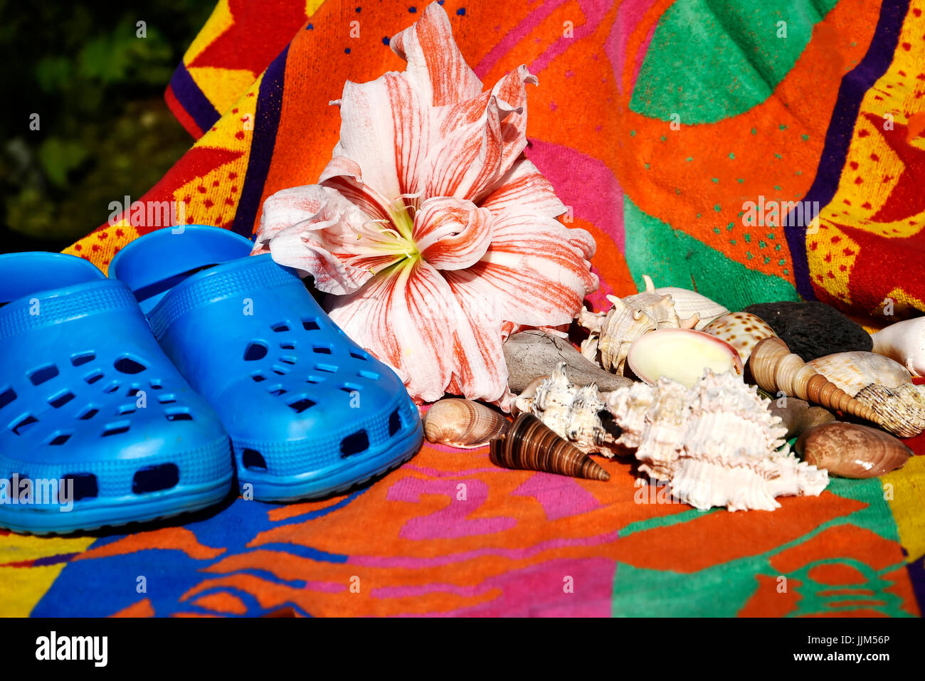 Still Life with Amaryllis flower, shells, sandals and beach towel evoking holiday on tropical islands Stock Photo
