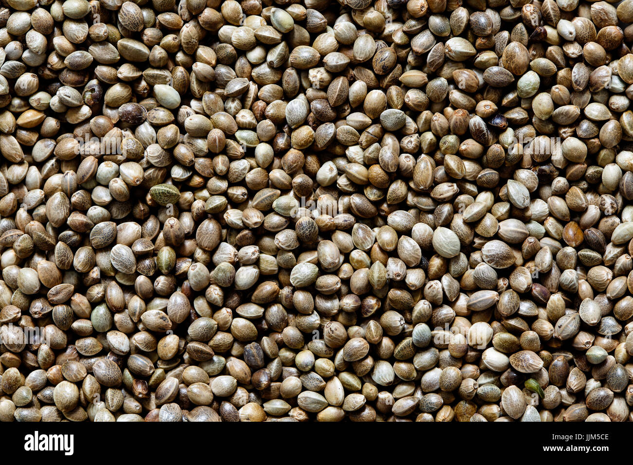 Background of hemp seeds. Stock Photo