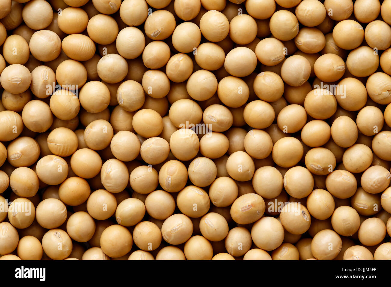 Background of dry soya beans Stock Photo Alamy