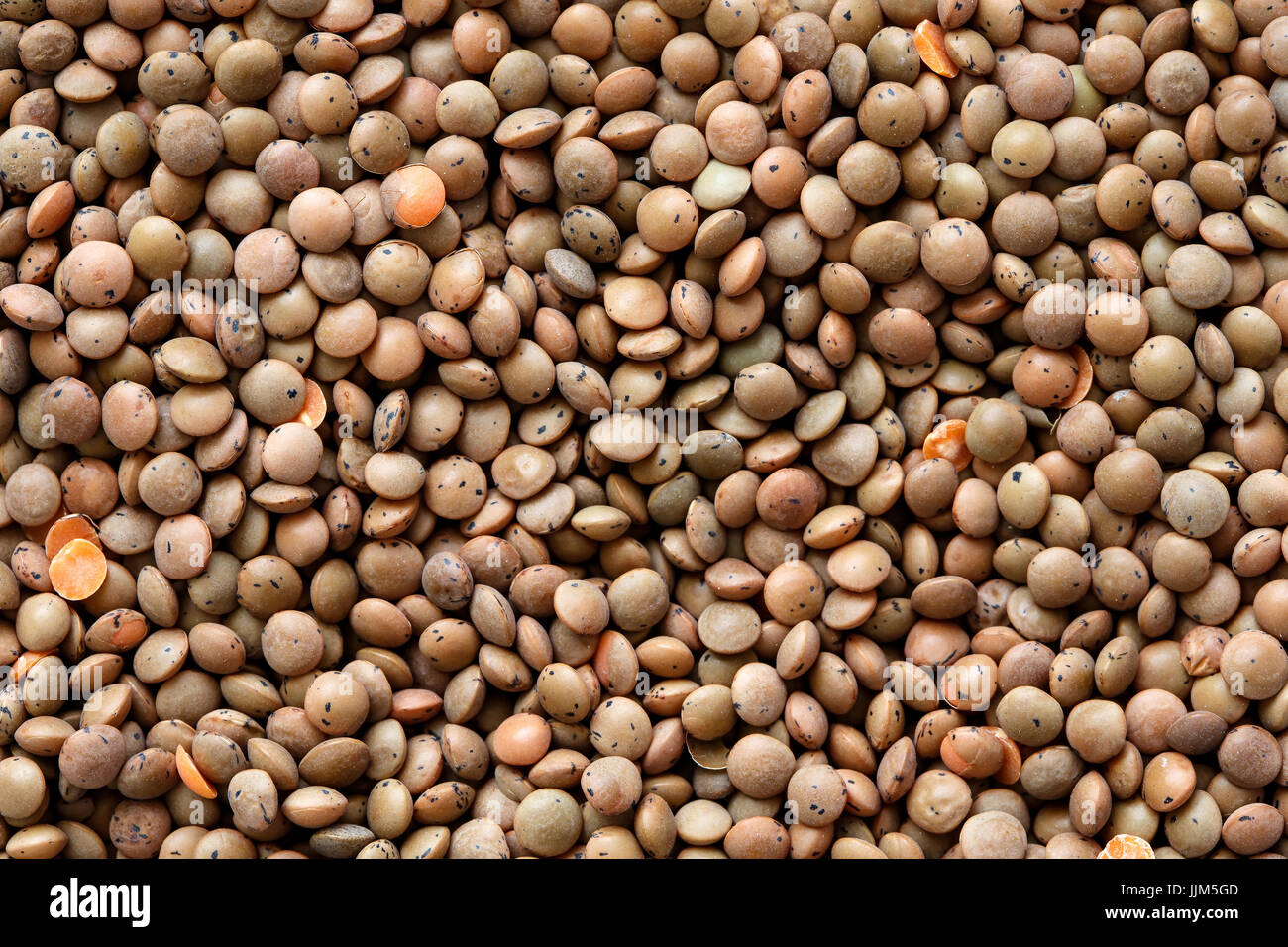 Background of unpeeled red lentils. Stock Photo