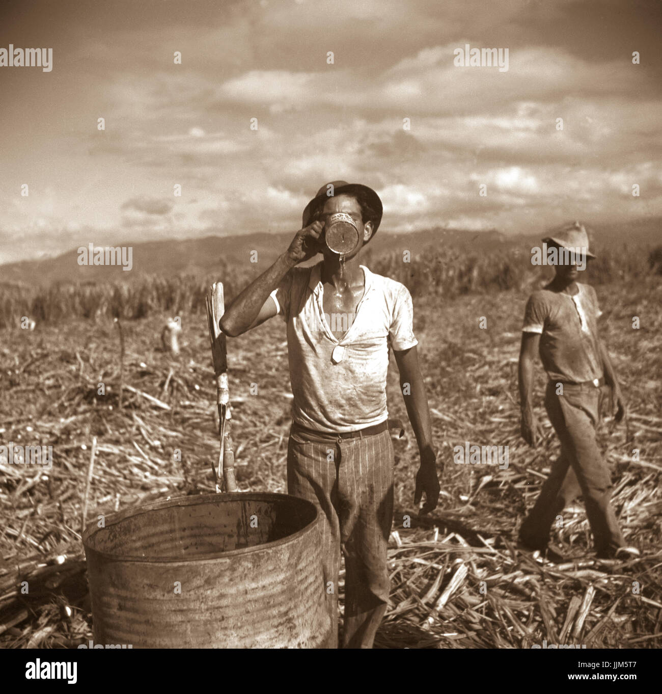 Ponce (vicinity), Puerto Rico. Sugar worker taking a drink of water on