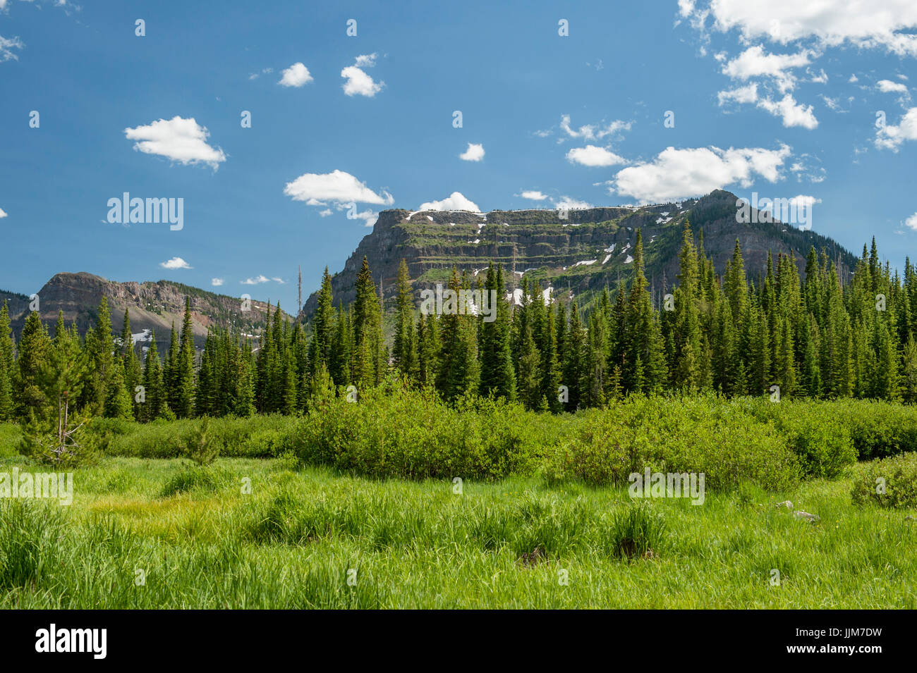 A view of northwest Colorado's Flat Tops mountains, from the Trappers