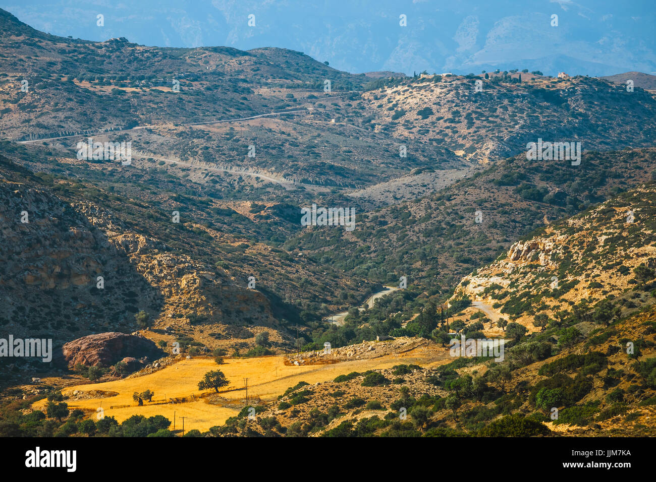 olive fields on Crete Island in Greece, Cretan landscape Stock Photo ...