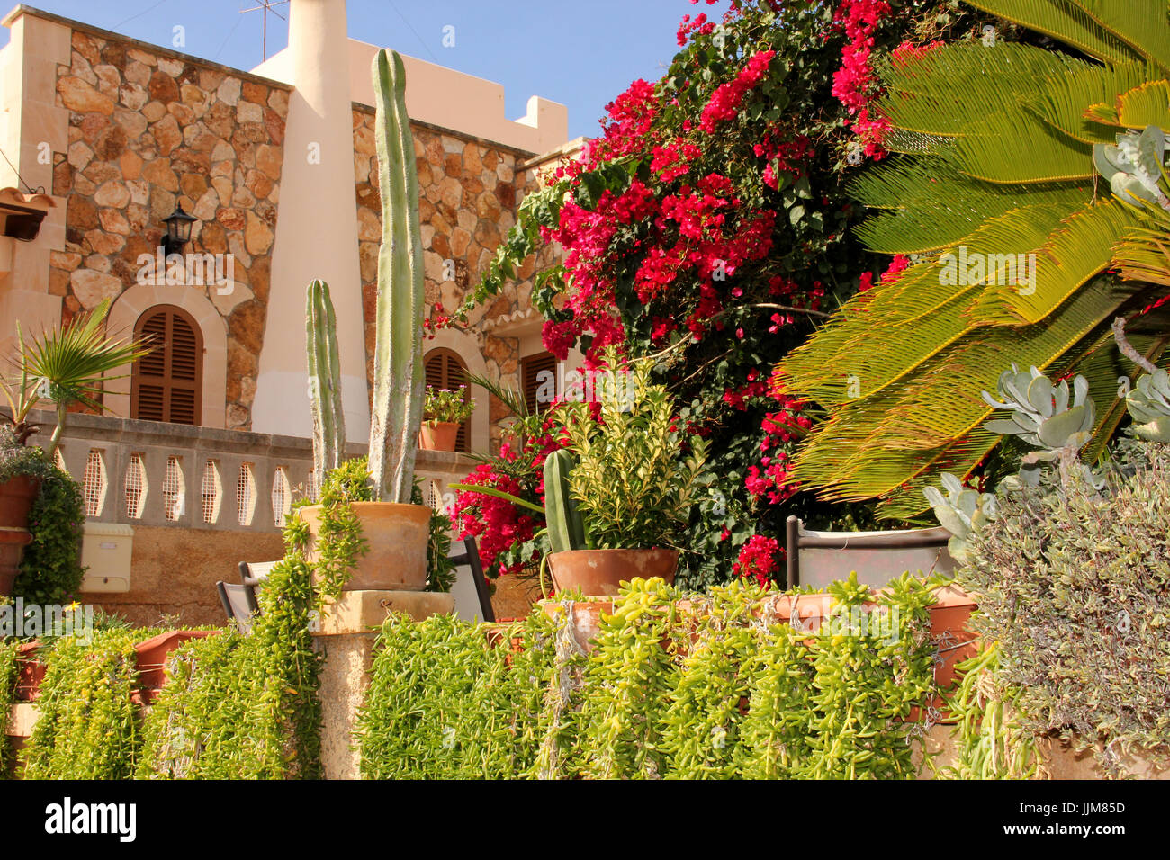 house with mediteranian plants Stock Photo