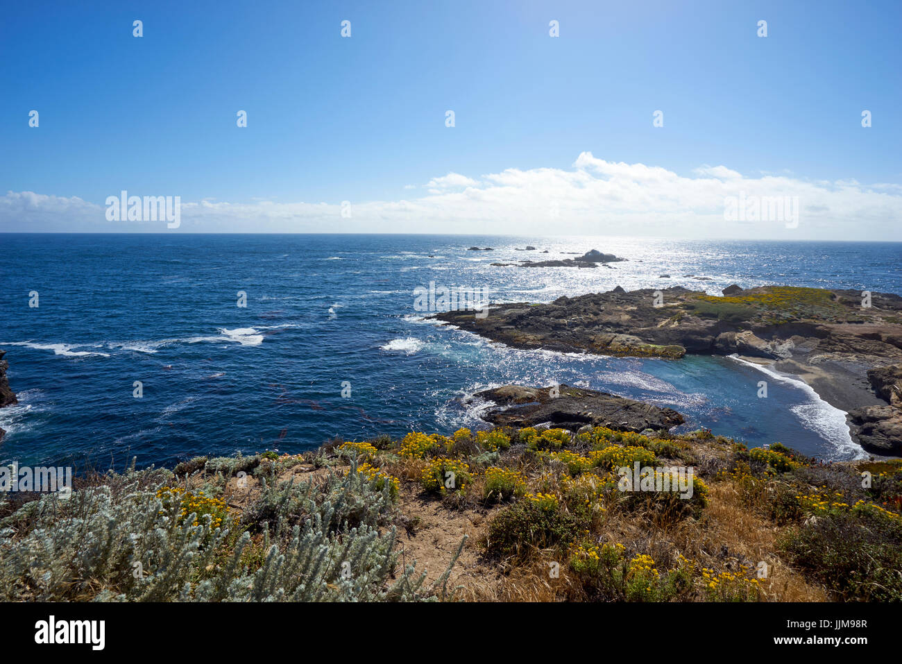 Wildflowers frame this view from above a cove westward into the misty marine layer of the Pacific Ocean Stock Photo