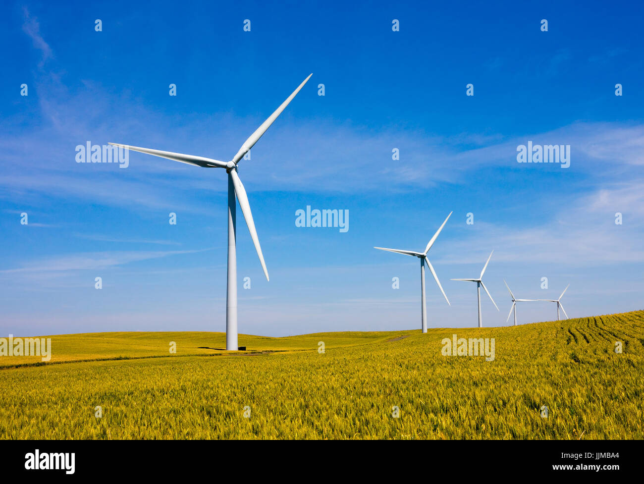 Wind turbines farm in California Stock Photo Alamy